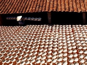 'Catching Sunlight' by Vietnamese photographer (Source: apec.org)